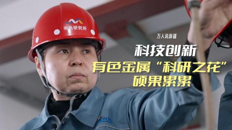 大数据分析公司代理条件：揭秘企业选择之道